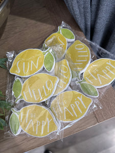 Lemon Magnet Set