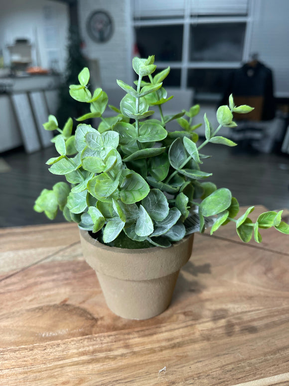 Gatehouse Herbs Pot No. 6
